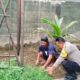 Ketahanan Pangan Dimulai dari Pekarangan: Inisiatif di Dusun Batusamban