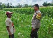 Polres Lombok Barat Dorong Ketahanan Pangan Desa Jembatan Gantung