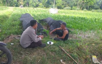 Polres Lombok Barat Dukung Petani Wujudkan Ketahanan Pangan di Lembar