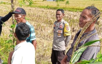 Polsek Kediri Kembangkan Program Ketahanan Pangan di Desa Rumak, Lombok Barat
