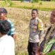 Polsek Kediri Kembangkan Program Ketahanan Pangan di Desa Rumak, Lombok Barat