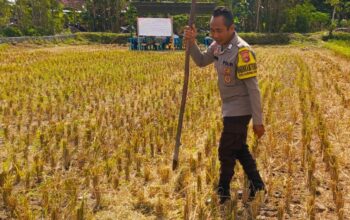 Kunjungan Bhabinkamtibmas Kuripan Utara, Ajak Petani Dukung Ketahanan Pangan Nasional