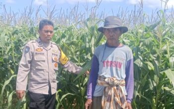 Polsek Gerung Intensifkan Pendampingan Petani di Dusun Bila Tepung