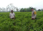 Bhabinkamtibmas Kuripan Edukasi Petani Adeng Soal Lahan Produktif
