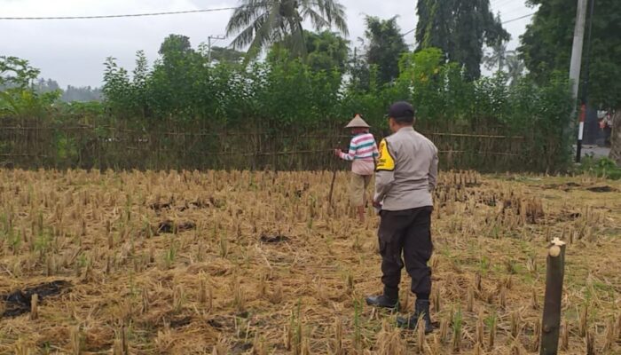 Sinergi Polri dan Warga Jagaraga dalam Gerakan Swasembada Pangan Keluarga