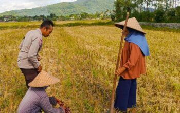 Bhabinkamtibmas Kuripan Utara Dorong Ketahanan Pangan Lewat Edukasi Pertanian