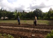 Polri Gandeng Petani Kediri Wujudkan Ketahanan Pangan Nasional