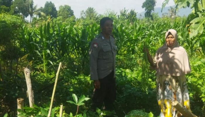 Sinergi Polri dan Petani di Lombok Barat, Ketahanan Pangan Jadi Prioritas