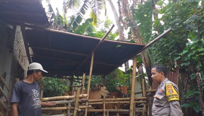 Polsek Kuripan Perkuat Ketahanan Pangan Lewat Edukasi Warga Dusun Batu Banteng