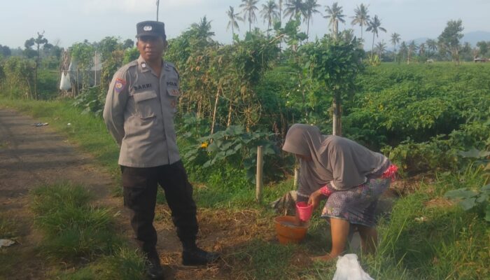 Bhabinkamtibmas Dorong Ketahanan Pangan di Montong Are, Lombok Barat