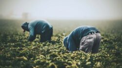 How to Profit from the Essential Labor Shortage