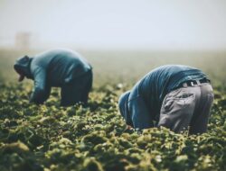 How to Profit from the Essential Labor Shortage