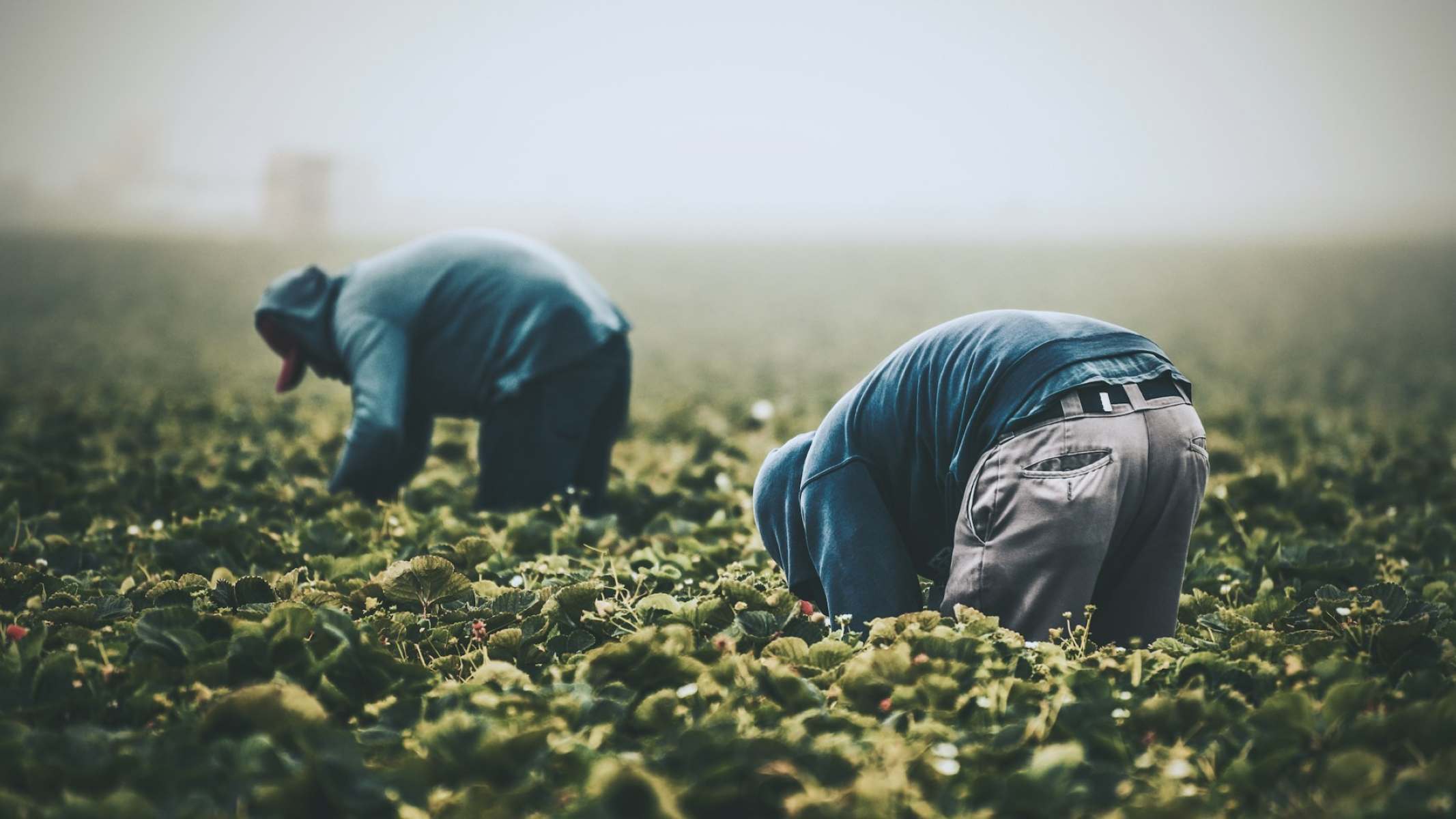 How to Profit from the Essential Labor Shortage